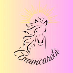 Acompañamiento emocional y desarrollo personal anamcarebi