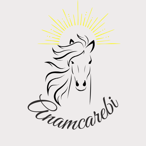 anamcarebi