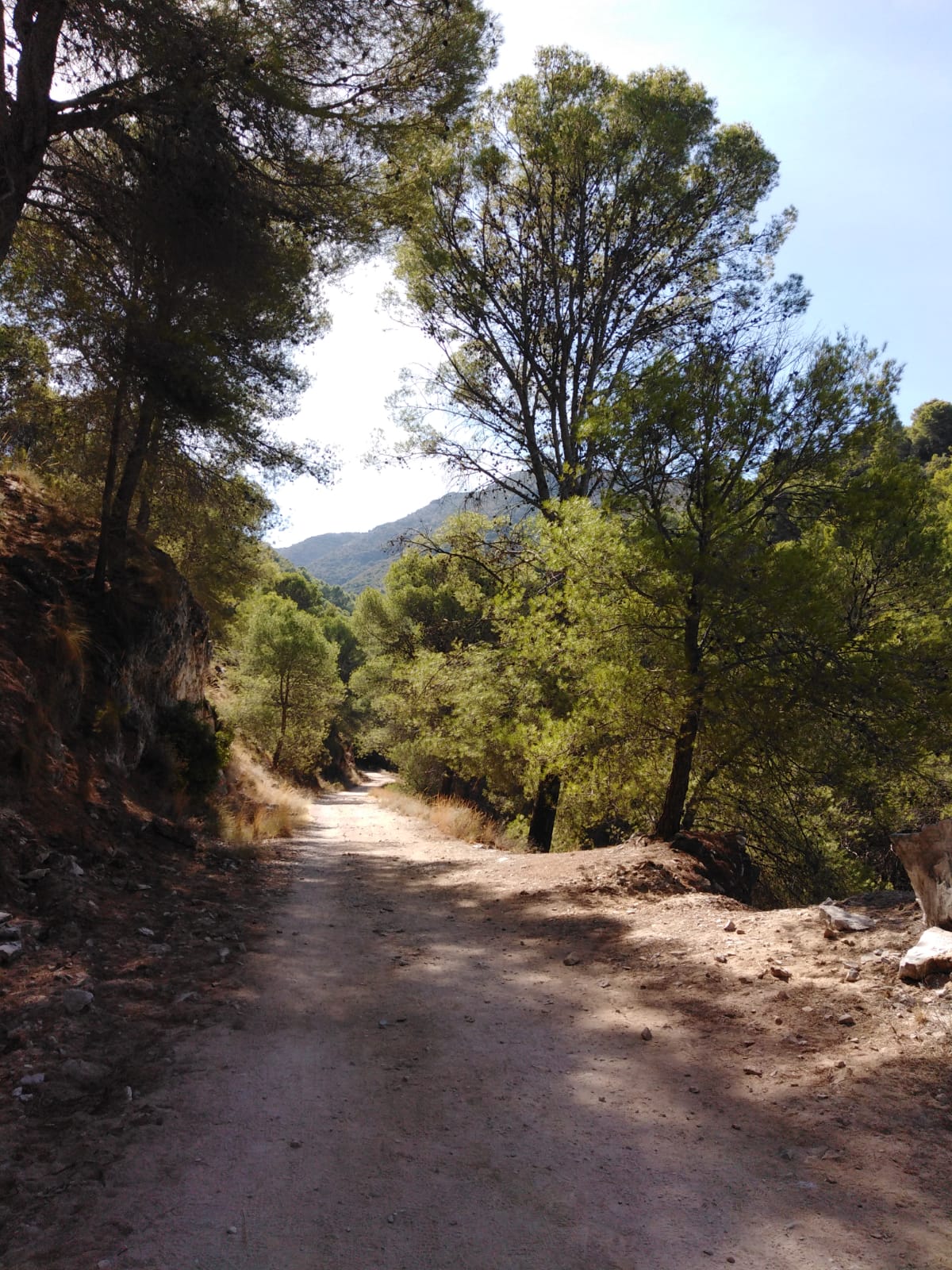 anamcarebi