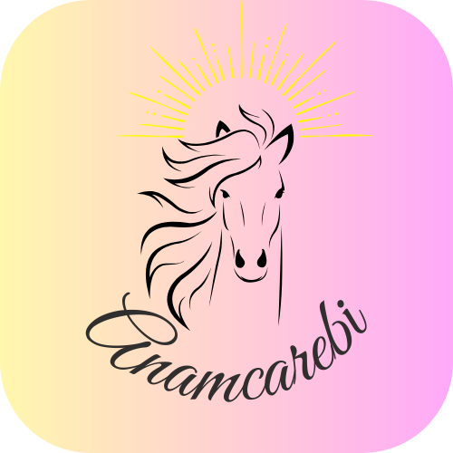 Anamcarebi- Acompañamiento Emocional y Desarrollo Personal